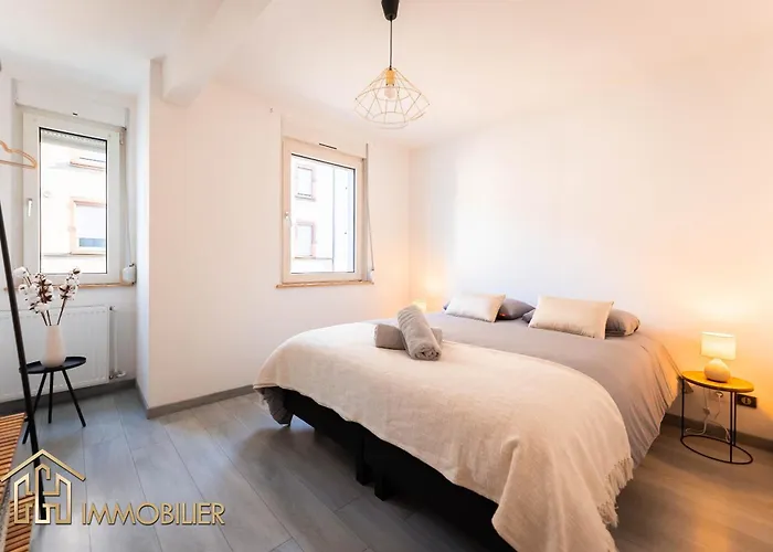 L'escapade A 公寓 科尔马